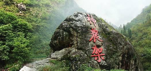 营救森林中的夫妇